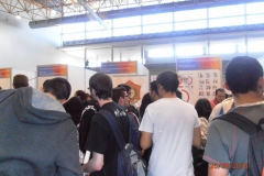 picture-1600 (6)