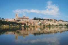 zamora1