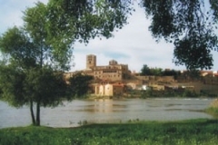 zamora2