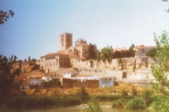 zamora4