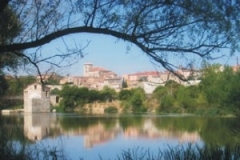 zamora5