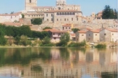 zamora7